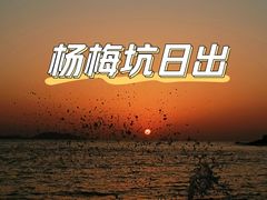 -杨梅坑