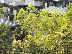 -广州锦绣香江度假别墅(官方直营店)
