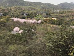 -白马涧龙池景区