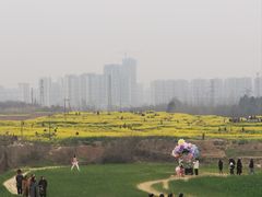 -三圣花乡旅游区