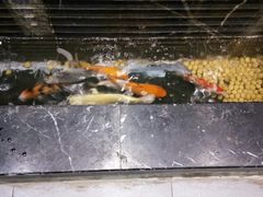 -胡记真不同饭店(临河街店)