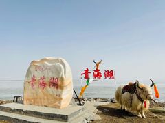 门面-青海湖国家重点风景名胜区