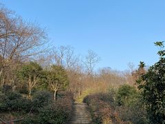 -南京老山国家森林公园