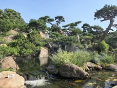 -罗红摄影艺术馆