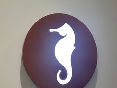 -海马体大师店(广州天汇广场IGC大师店)