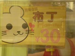 -龙猫仔乐园(惠福东路店)