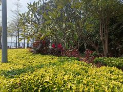 -深圳湾公园(南山区)