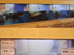 -围龙屋客家食府(福田店)