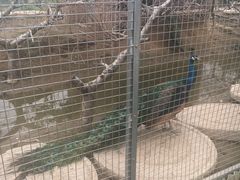 -河北村民俗体验园