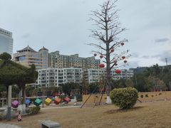 -番禺广场(市桥街道)