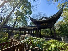 -上海佘山国家森林公园天马山园