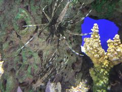 -萌宠奇缘(荣鼎店)