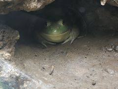 -广州长隆飞鸟乐园