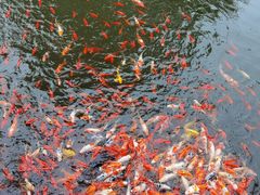 -太白山御龙湾温泉