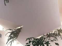 -尤加利咖啡馆