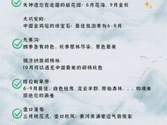 -梨园照相馆·签证照·身份证护照回执采集拍摄网点(北京店)