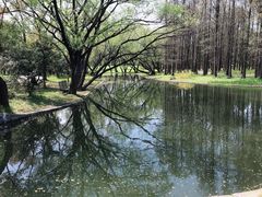 -共青国家森林公园-售票处