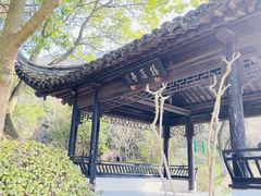 内景-宝岩生态观光园