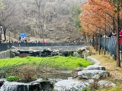 -白水寺森林公园