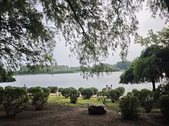 -丁香湖公园
