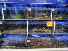 -开海·红岛海鲜虾水饺(石老人店)