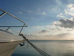 -碧海金沙
