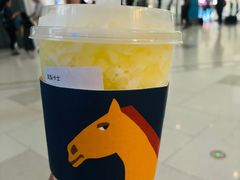 -春丽小马(济南恒隆广场店)