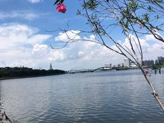 -五缘湾湿地公园