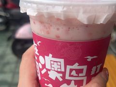 -南澳岛打卡果汁冰公司