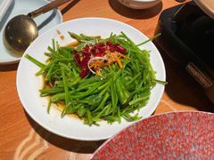 -菌自由丨野生菌火锅特色庭院餐厅(丽江古城店)