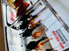 -第六季自助餐厅(北太平庄店)