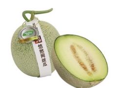 哈密瓜-盒马鲜生(金桥国际广场店)