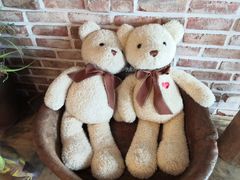 -济州岛泰迪熊博物馆