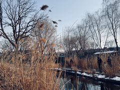 -三里河公园