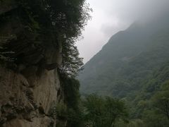 -陕西省红河谷森林公园