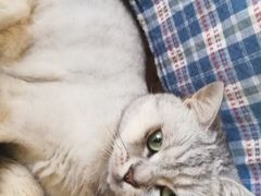 -不舍昼夜咖啡馆