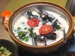 -全乐鱼馆·淳牌有机鱼直营店