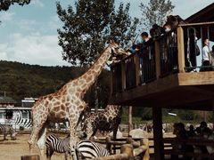 -大连森林动物园