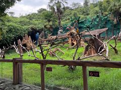 -杭州野生动物世界