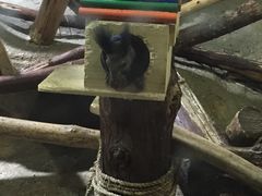 -常州海昌海洋探索馆