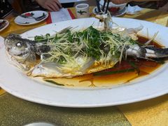 清蒸和顺鱼-大笑饭堂(甲子桥店)