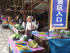 -瑞丽独树成林风景区