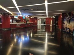 -上海金逸影城(静安大悦城店（原新恒星影城）)