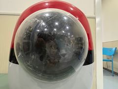 -佳怡动物医院·平价24小时·猫专科骨外科