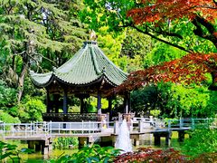 -申粤轩酒楼·三十年粤菜经典(丁香花园店)