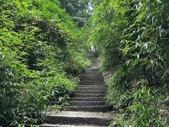 -缙云山景区