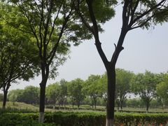 -汉景帝阳陵博物院