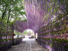 -山乡农家院(海淀区西北旺店)