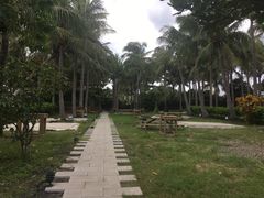 -白沙湾海滩