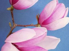 -交通银行(大连瓦房店铁东支行)